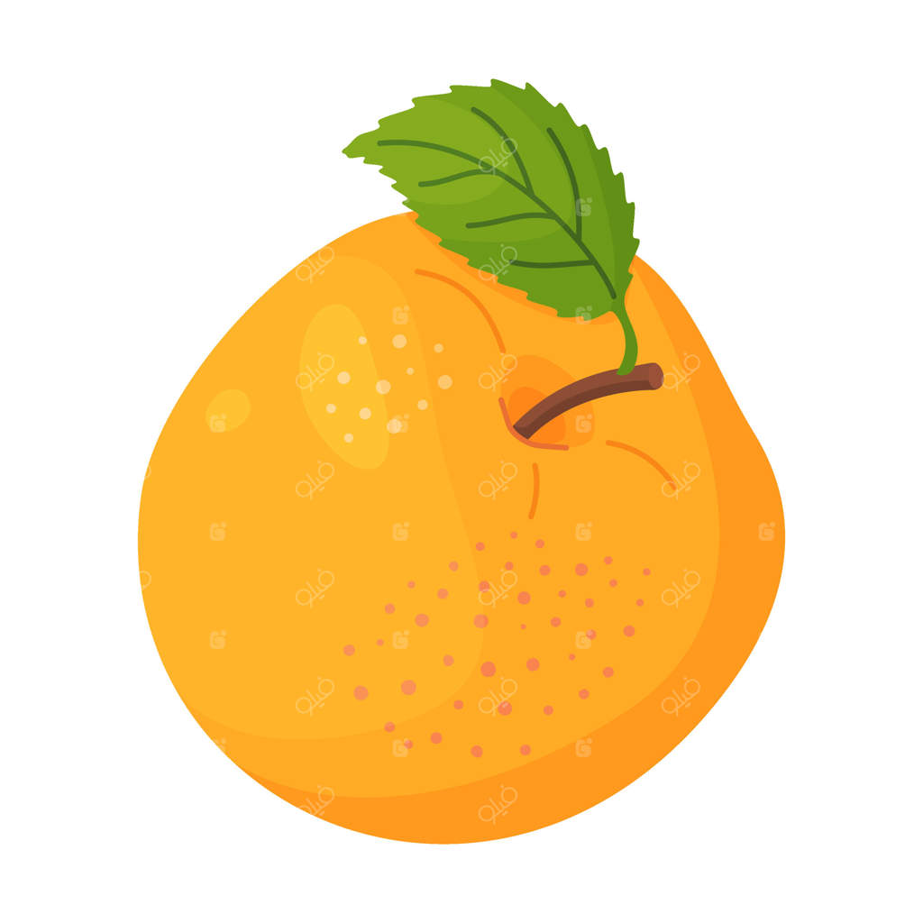 سیب زرد و رسیده با برگ، میوه تازه باغ. تصویرسازی دستی. میوه کامل با برگ سبز، سبک مسطح و جدا شده.