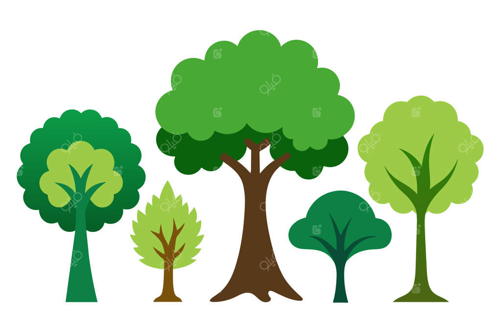 مجموعه‌ای از درختان با شکل‌ها و اندازه‌های مختلف