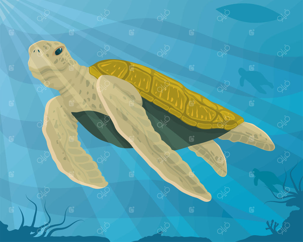 شنا کردن لاک‌پشت در زیر دریا