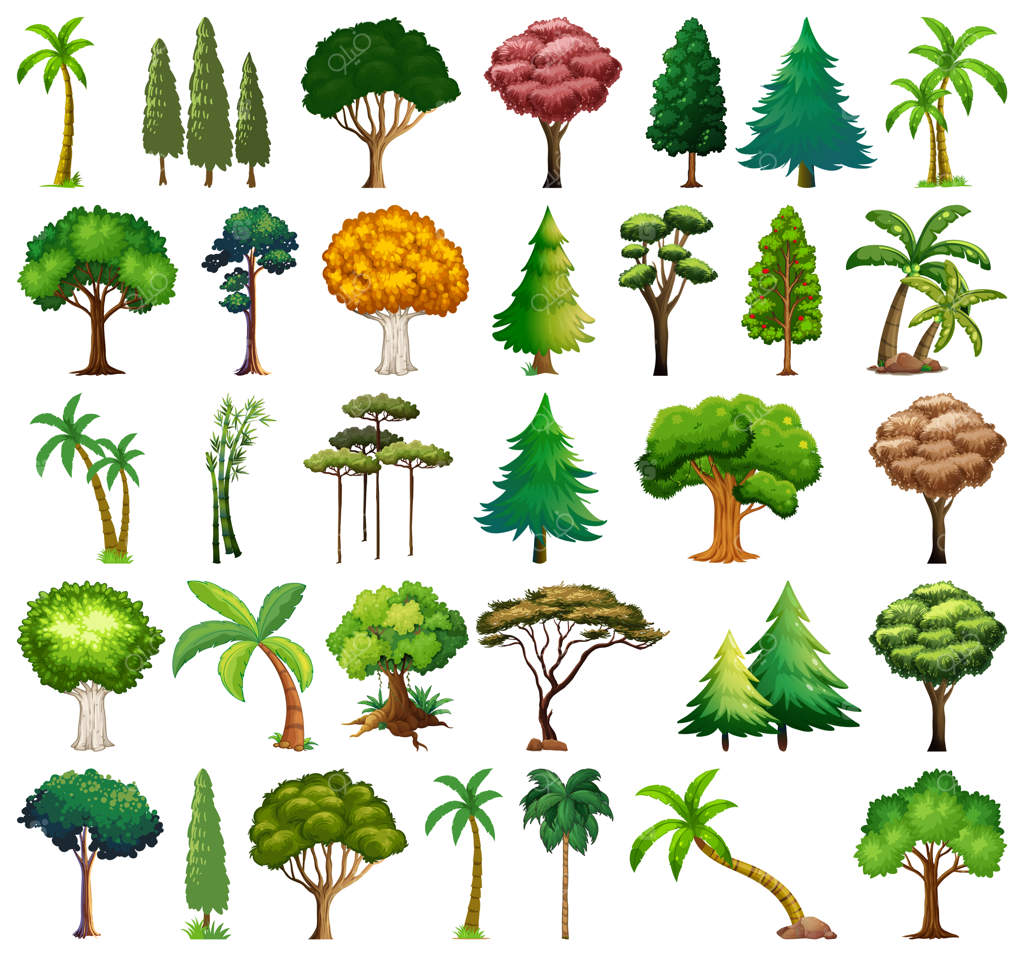 مجموعه‌ای از گیاهان و درختان متنوع