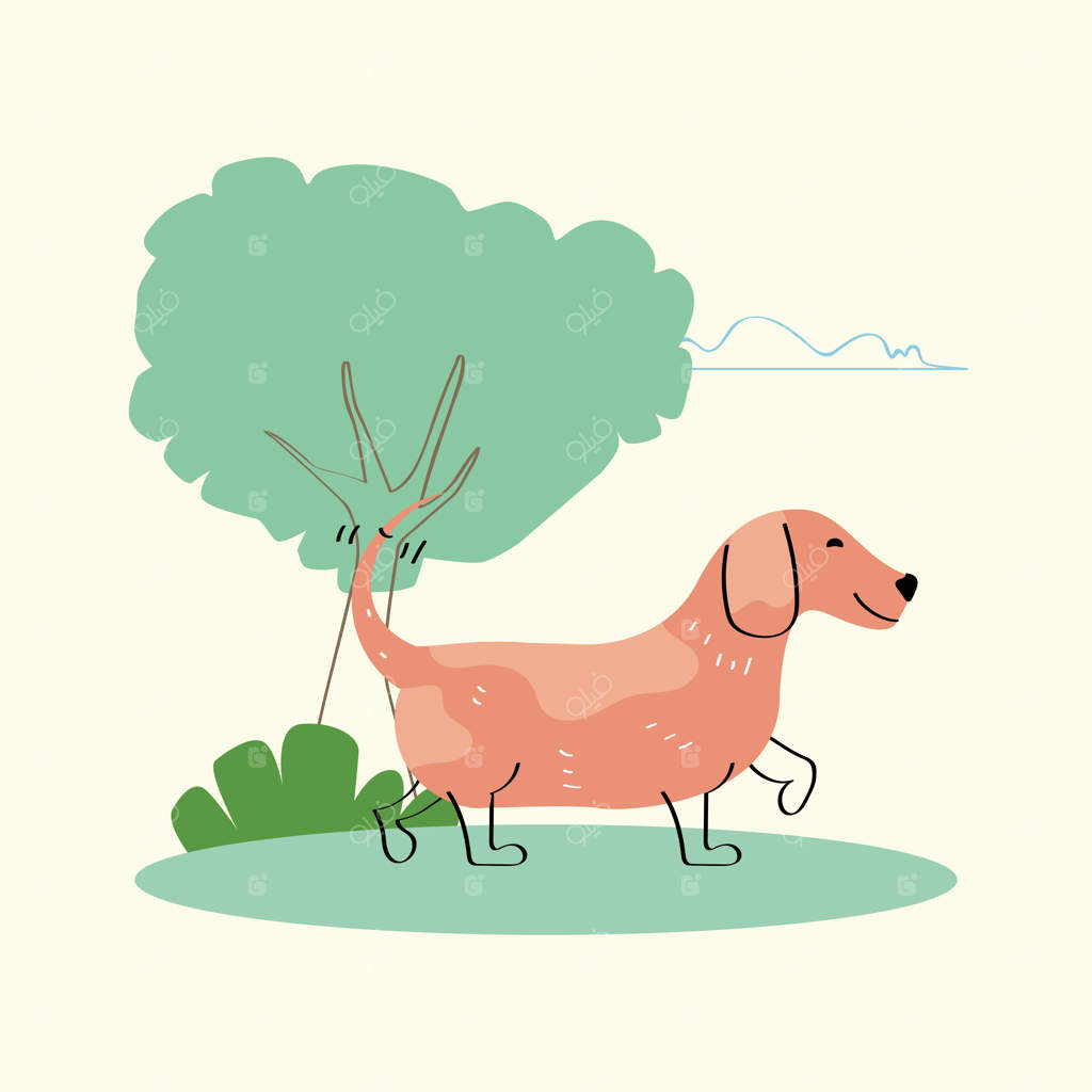 سگ در مناظر طبیعی