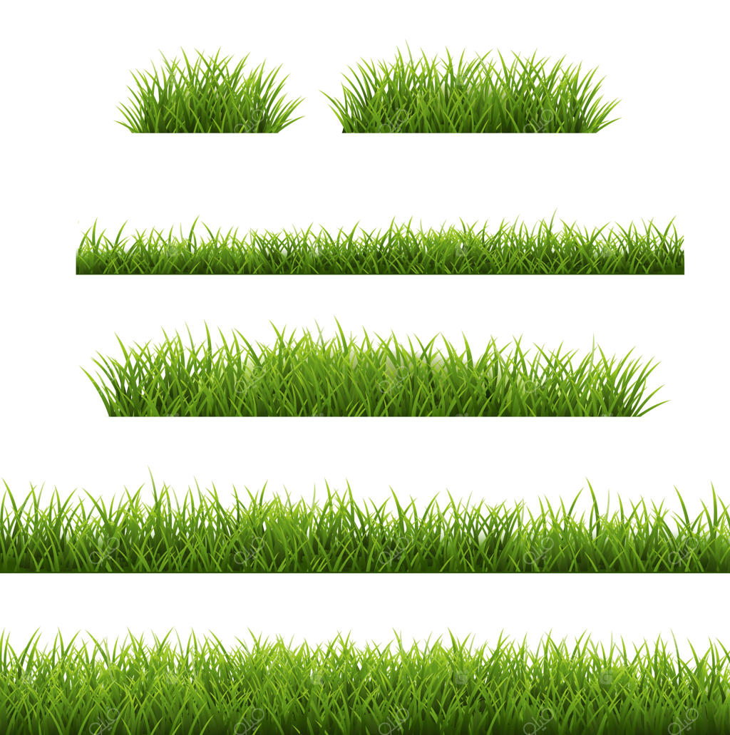 مجموعه حاشیه چمن ایزوله در پس‌زمینه سفید