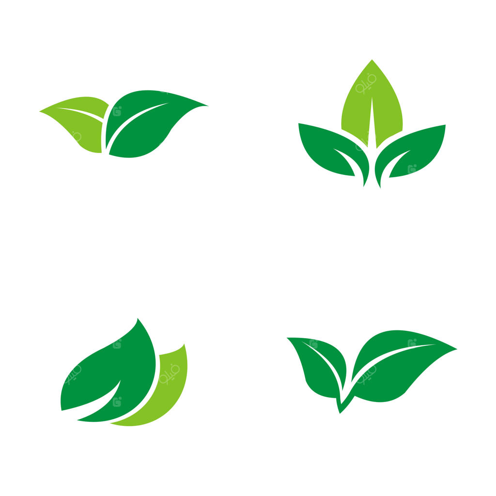 لوگوی برگ سبز