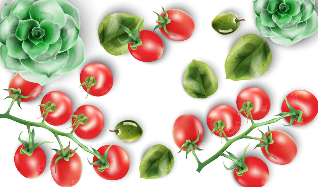 مجموعه آبرنگی از گوجه‌فرنگی‌های قرمز، برگ‌های اسفناج و گیاه اکووریا