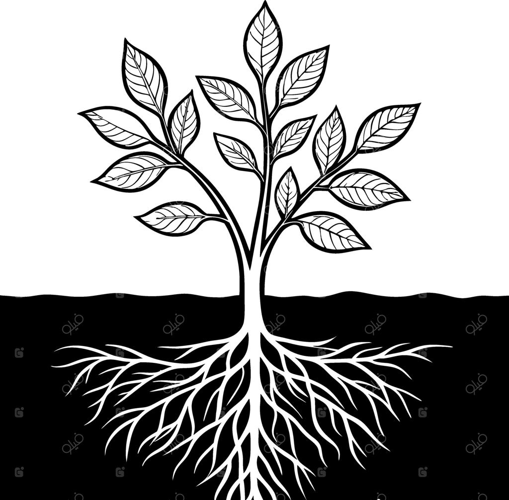 تصویرسازی پرجزئیات و سیاه و سفید درخت با ریشه و برگ، مناسب برای طرح تاتو و پروژه‌های هنری