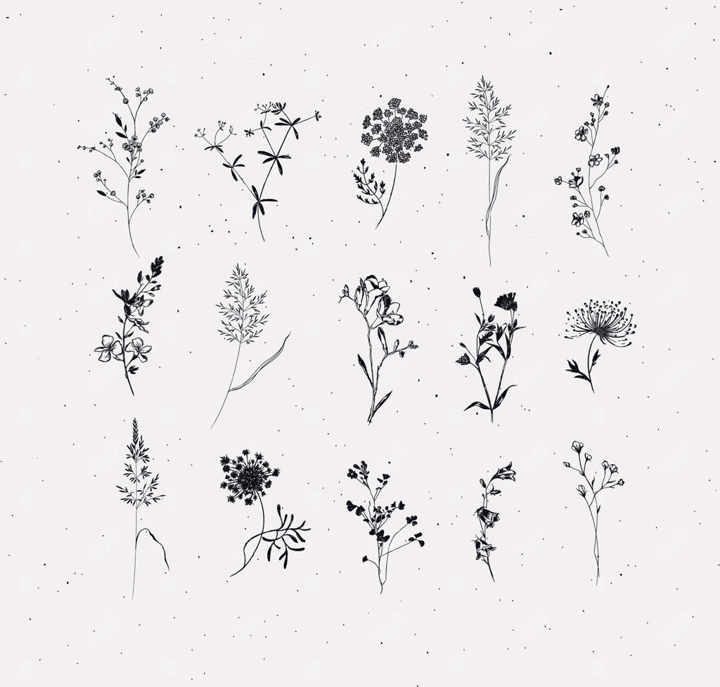 نقاشی گل‌ها، گیاهان و علف‌های باغ و چمنزار با خطوط مشکی روی زمینه روشن