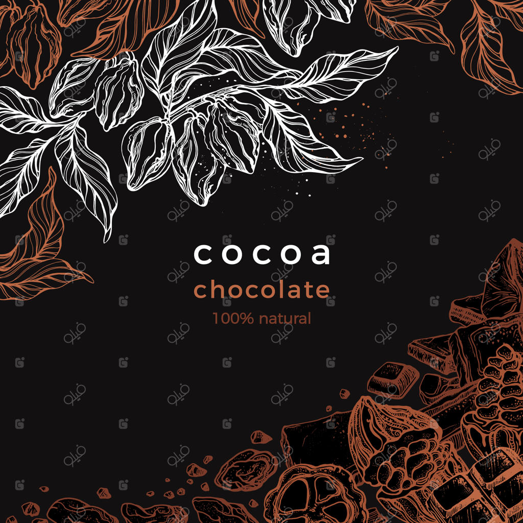 قاب گرافیکی شکلات: درخت کاکائو، شاخه، دانه، میوه. نقاشی دستی