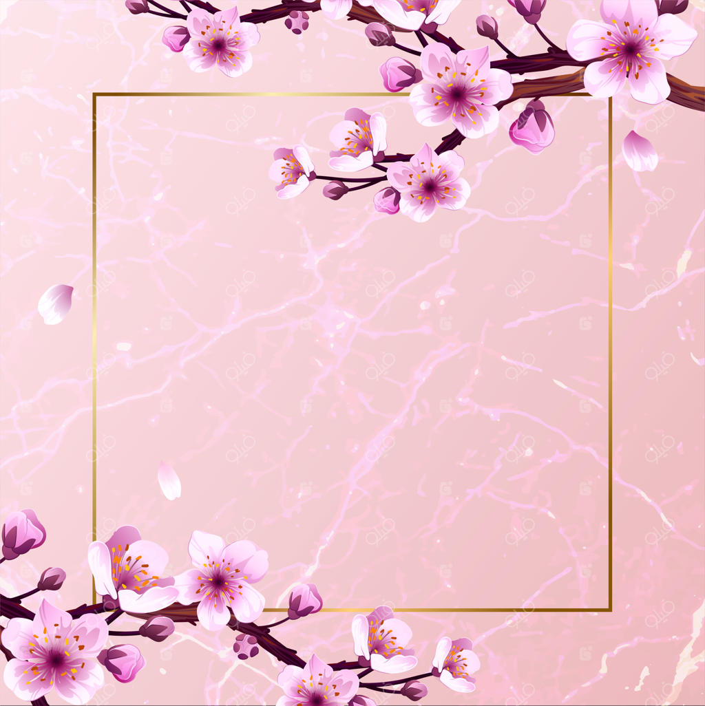 وکتور زیبای شکوفه‌های گیلاس