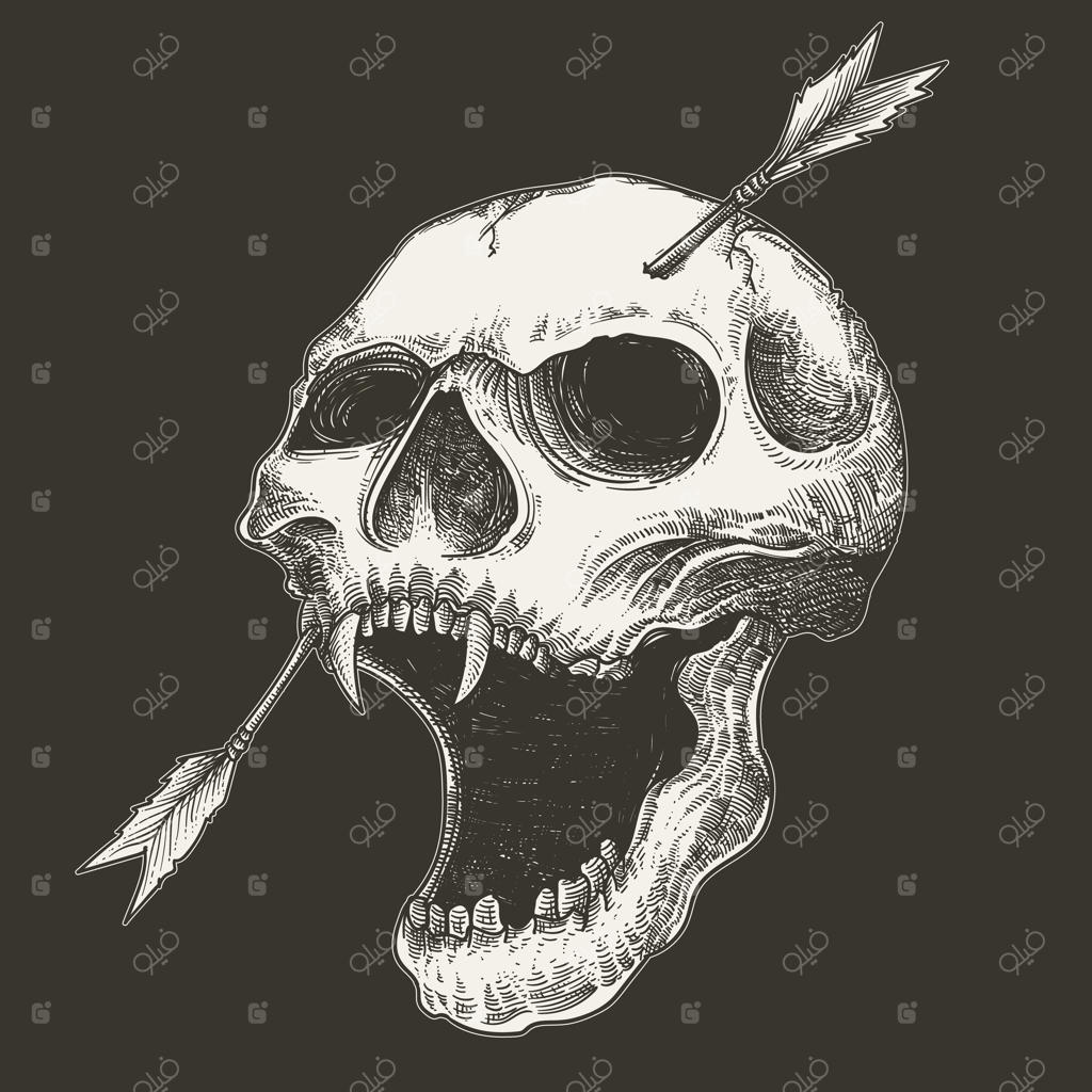 جمجمه و تیرهای روی آن