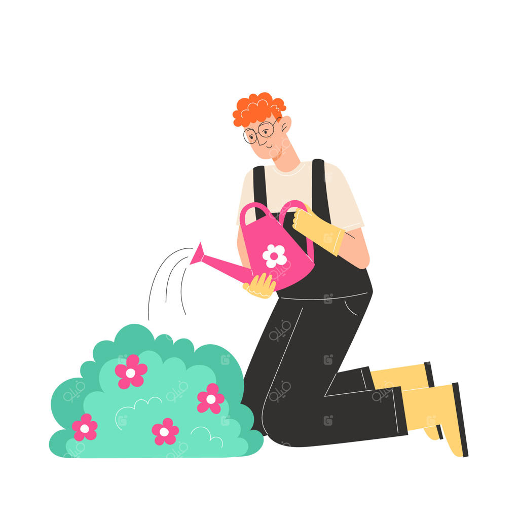 جوانی در حال زانو زدن و آبیاری گل‌های باغچه در یک گلدان است