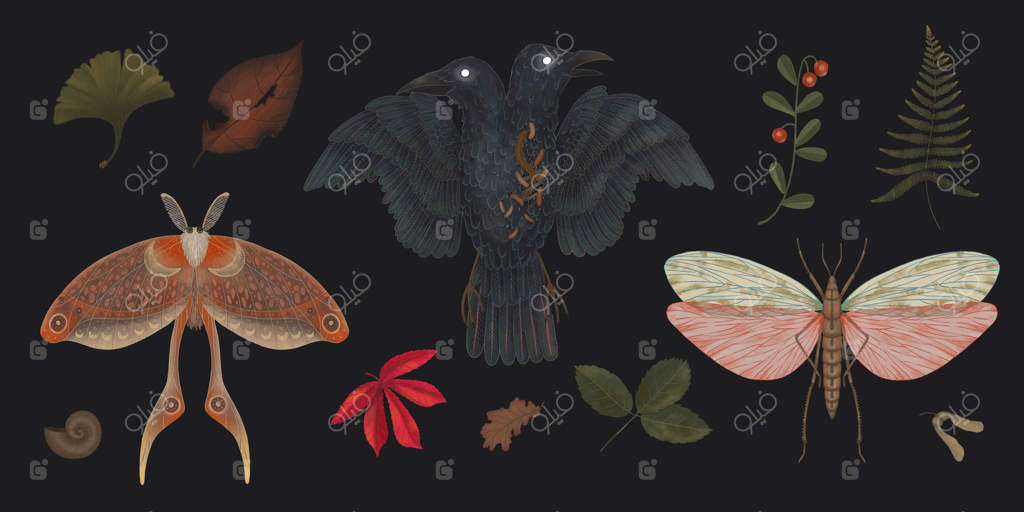 تصاویر عناصر جادویی جنگل؛ مار، شب‌پره، قارچ‌های سمی و عناصر فضایی