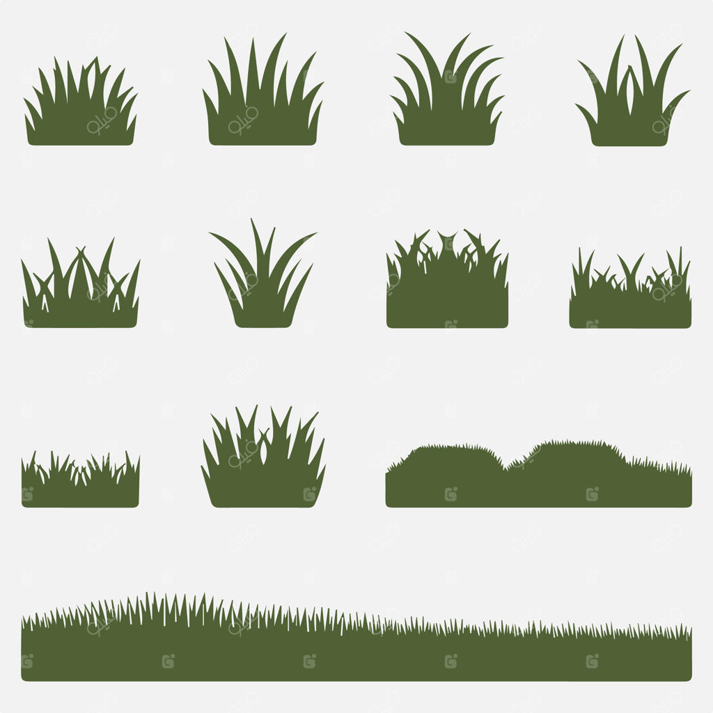 مجموعه‌ای از گیاهان و چمن‌ها با اشکال و اندازه‌های گوناگون