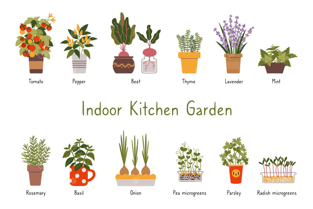 ست گیاهان باغچه آشپزخانه سرپوشیده با عناوین، به سبک کارتونی. انواع مختلفی از سبزیجات، گیاهان و میکروگرین‌ها در گلدان. سرگرمی باغبانی شهری. تصویر مدرن، نقاشی دستی، مسطح