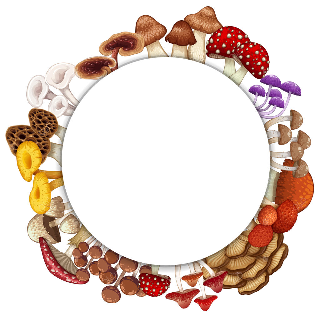 قالب حاشیه‌ با انواع مختلف قارچ‌ها