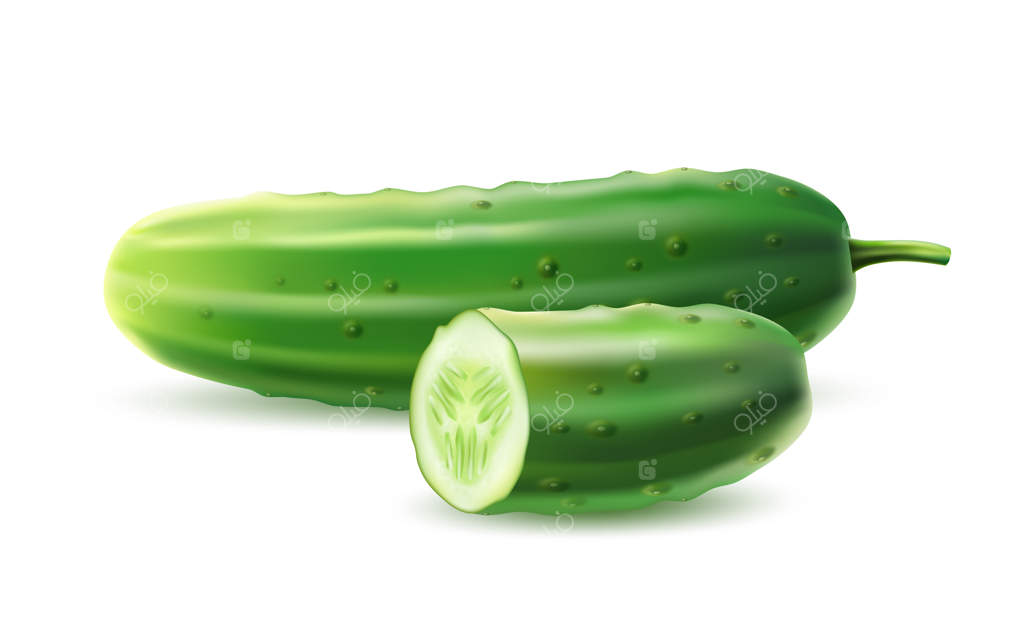 خیار واقعی و برش نصفه آن