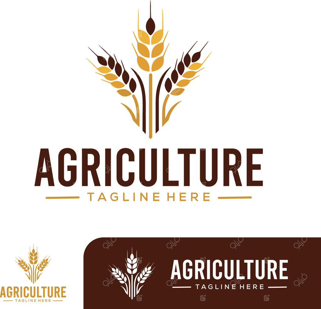 لوگوی گندم برای شرکت