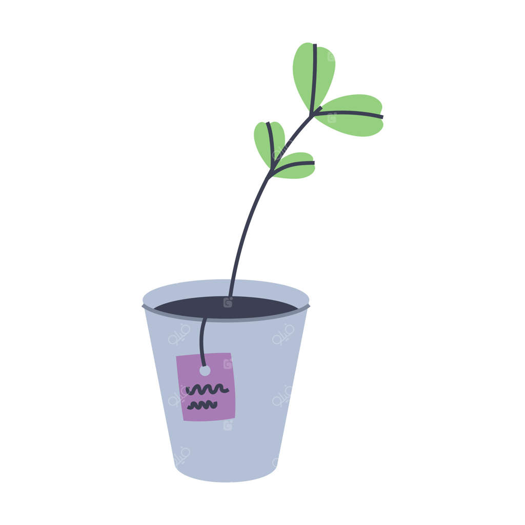 نهال در گلدان. گیاه باغچه. عنصر گرافیکی مسطح برای طراحی بهاری.