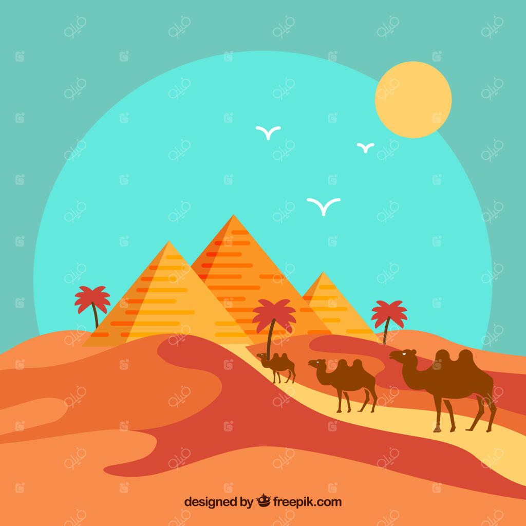 منظره صاف اهرام مصر با کاروان شترها