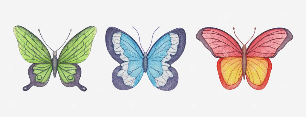مجموعه پروانه‌های نقاشی شده با آبرنگ دستی