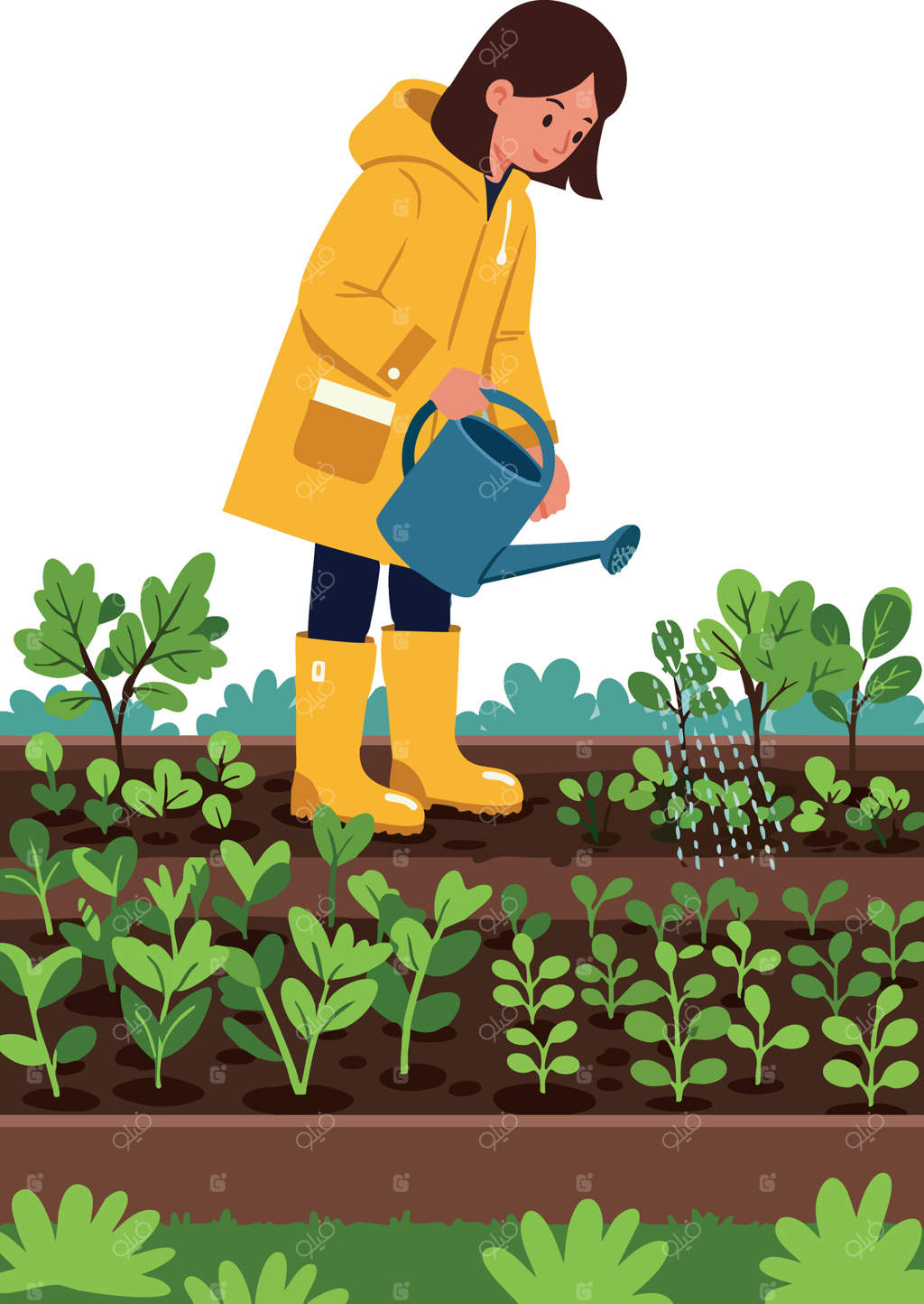 تصویر زنی با بارانی و چکمه‌های زرد در حال آبیاری گیاهان در باغ