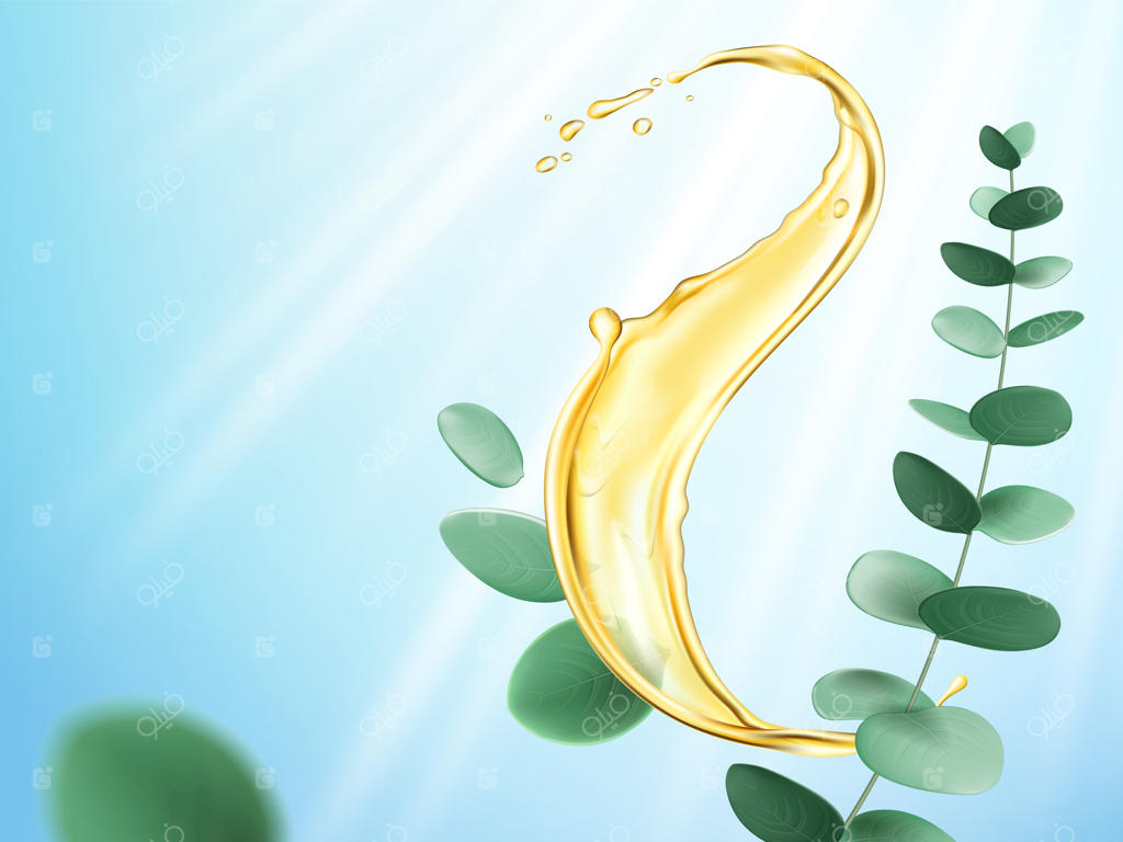 پاشیدن روغن روی شاخه اکالیپتوس واقعی یا مایع نارنجی ریخته شده با ساقه اکالیپتوس.