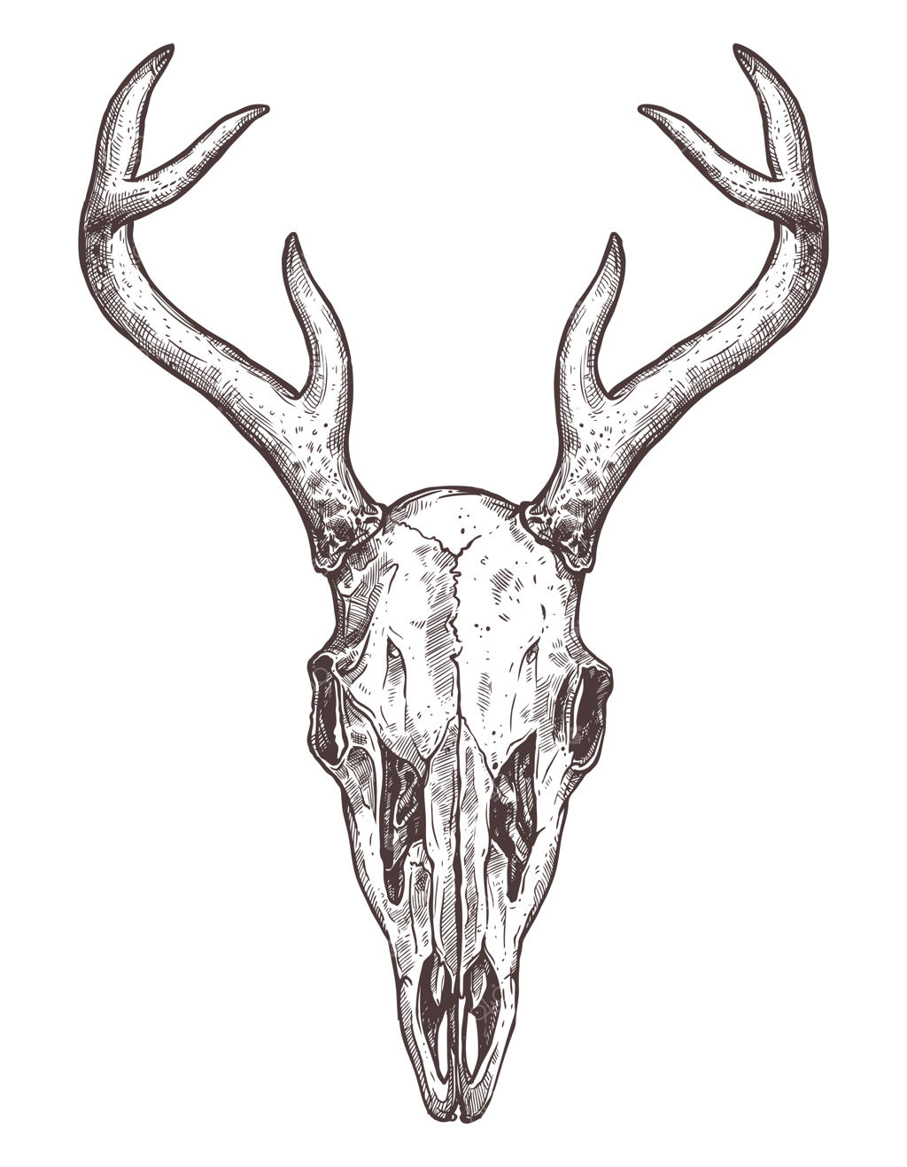 طرح جمجمه گوزن بر روی زمینه سفید