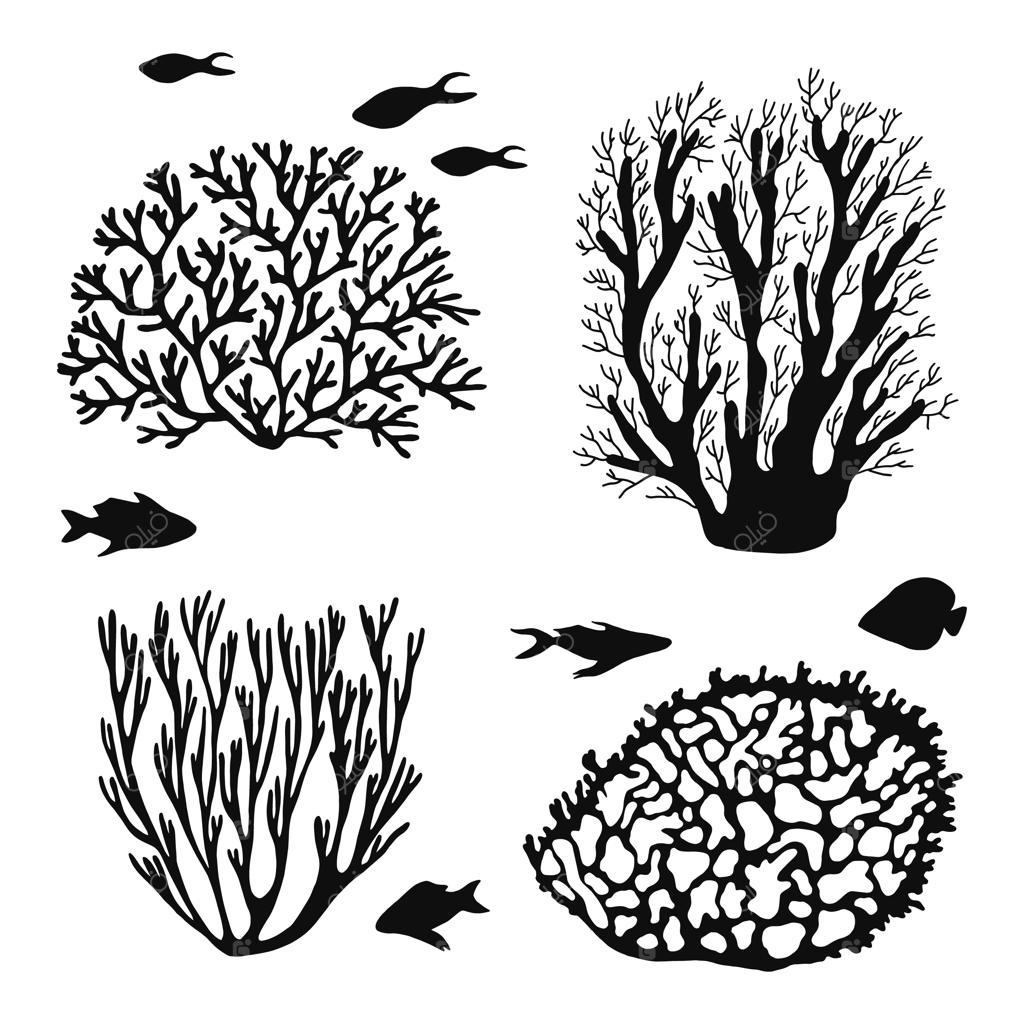 مجموعه سیلوئت‌های متنوع مرجان، جلبک دریایی و ماهی