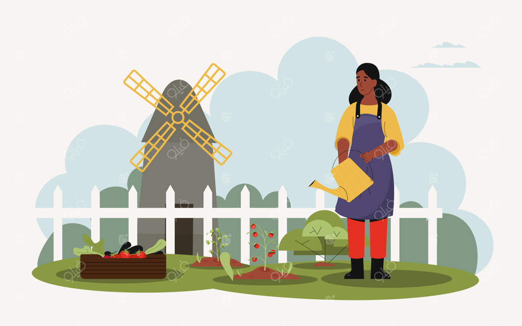 زن کشاورز جوان با پیشبند، در حال آبیاری گیاهان در باغچه سبزیجات خود با گوجه‌فرنگی، کاهو و بادمجان در کنار صندوق چوبی و آسیاب بادی در پس‌زمینه