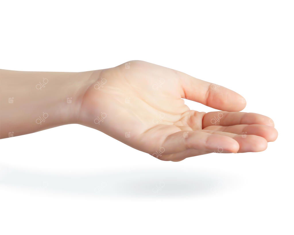 دست زنانه سه‌بعدی و طبیعی با حالت باز