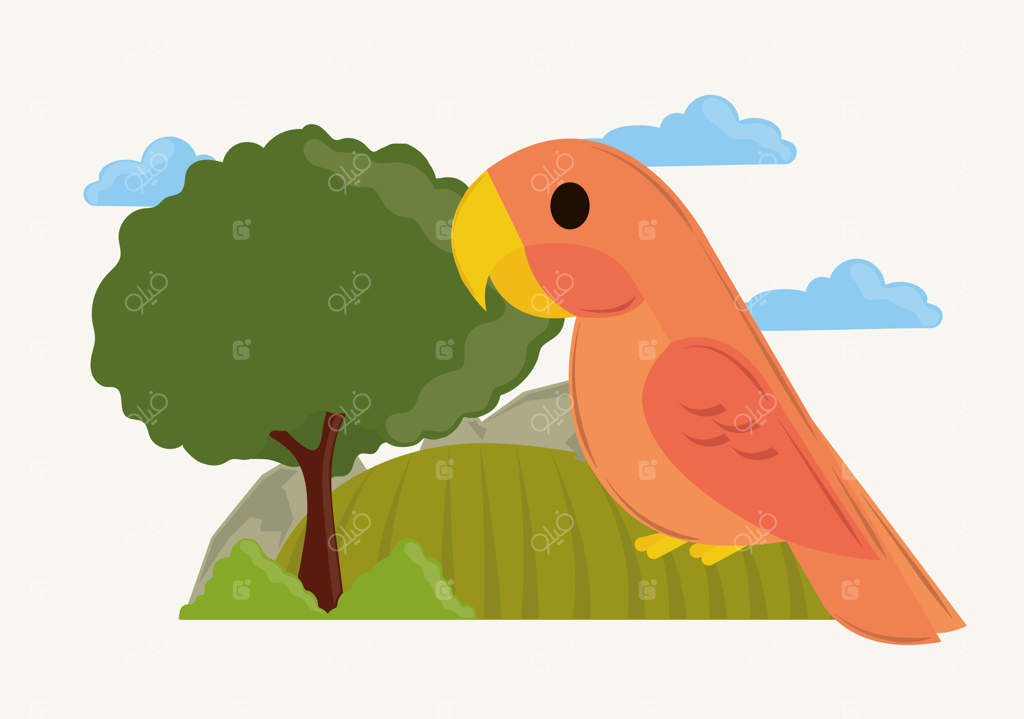 طوطی روی چمن