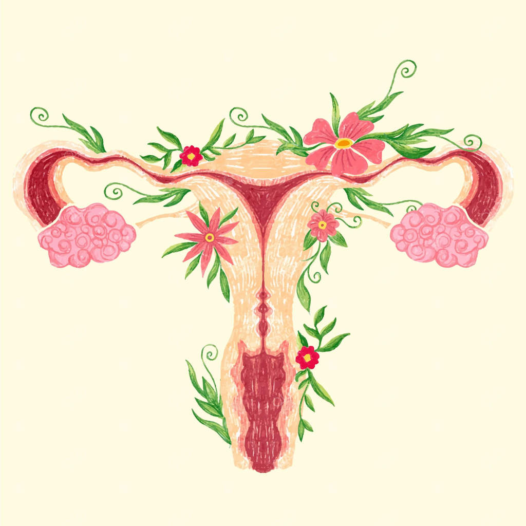 سیستم تولید مثل زنانه با گل‌ها