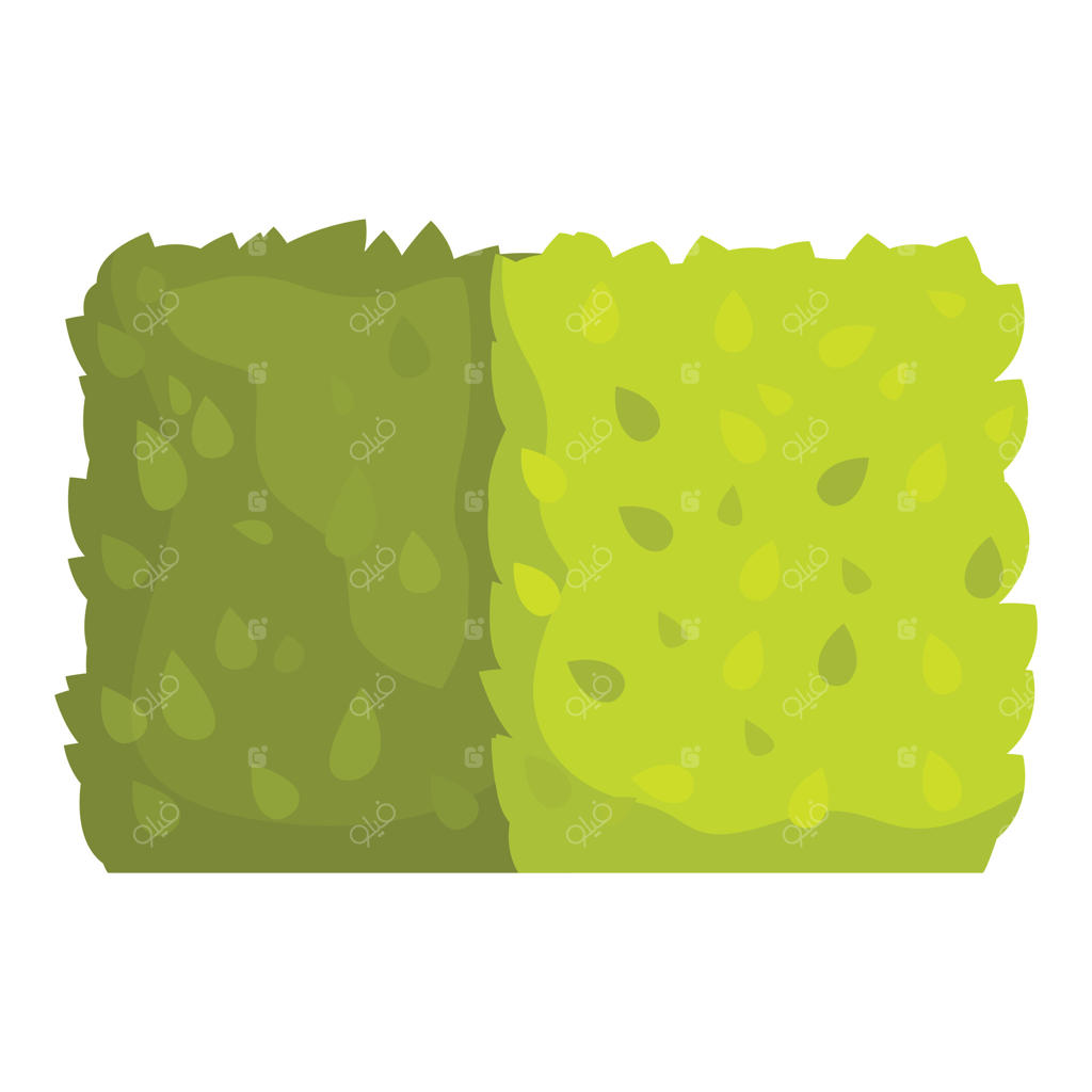 بوته سبز ایجاد دیوار طبیعی برای طراحی باغ