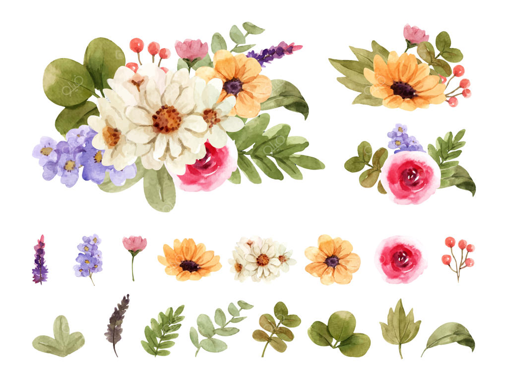 تصویرسازی دسته گل