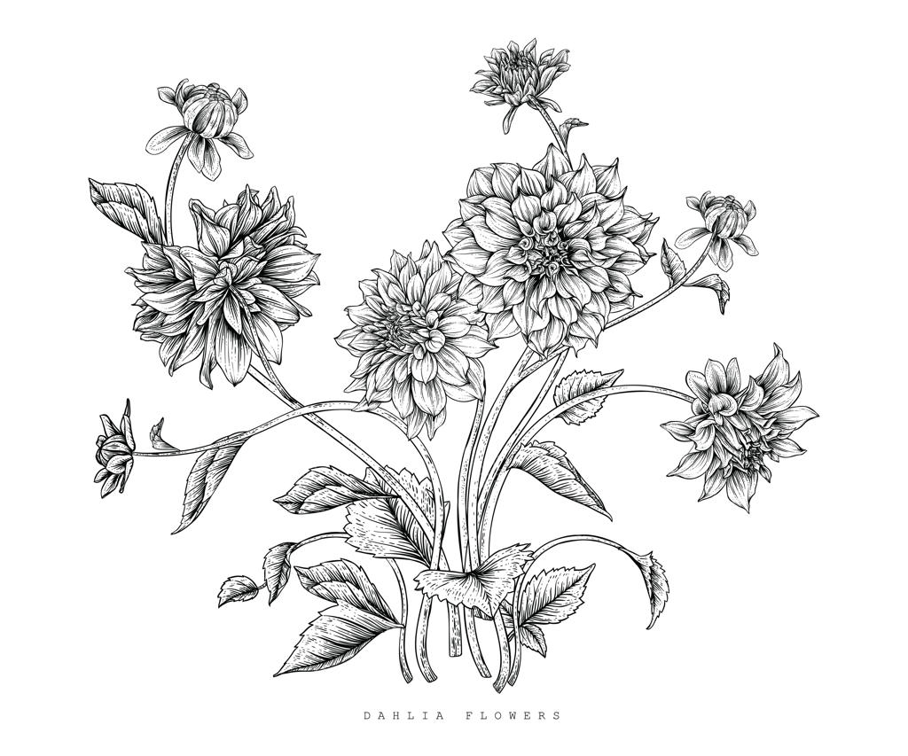 طراحی برگ و گل کوکب