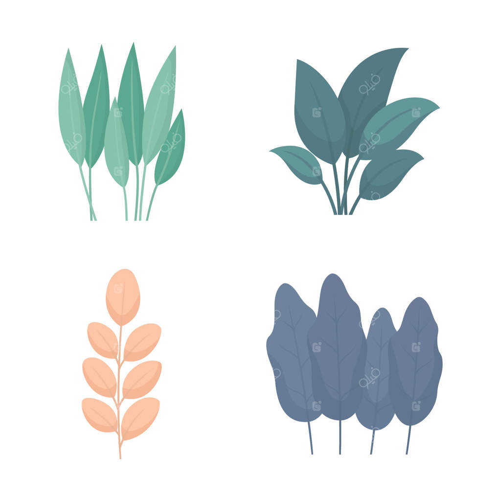 مجموعه‌ای از عناصر گیاهان گرمسیری: برگ‌ها، چمن و گیاه‌شناسی در باغ و پارک طبیعی