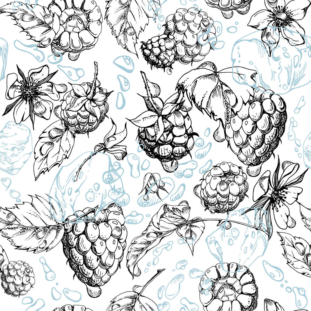 برگ‌های تمشک، قطرات شبنم، تکه‌های یخ، پاشیدن آب: طرحی از توت‌های جنگلی لاگان‌بری. طرح دستی در جوهر. پترن بی‌وقفه و تکرارپذیر. مربای خانگی، لوازم‌التحریر، منو، کتاب دستور پخت.