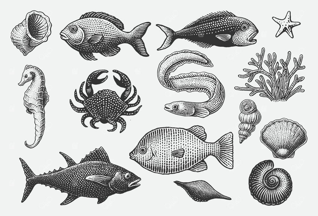 مجموعه طرح‌های دستی موجودات دریایی