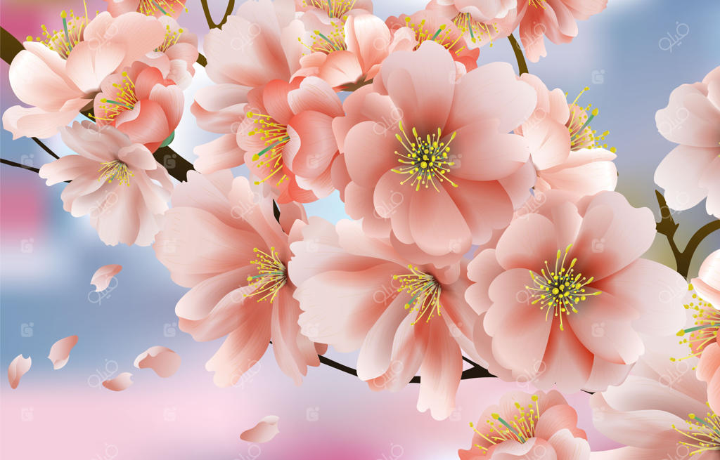 ایده زیبا از شکوفه‌های گیلاس