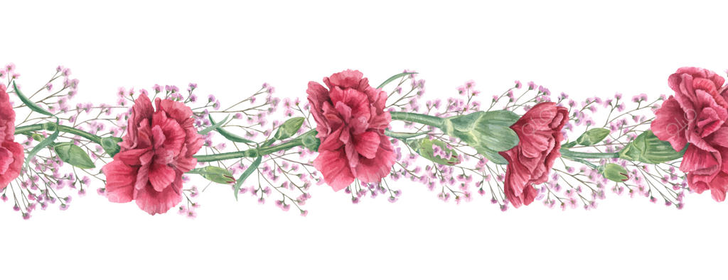 میخک‌های قرمز و ژیپسوفیلای صورتی لطیف: بنر افقی آبرنگی برای پس‌زمینه. گل‌های نقاشی‌شده دستی مناسب دعوت‌نامه عروسی، برندینگ گل‌دار و بسته‌بندی با تم عاشقانه.