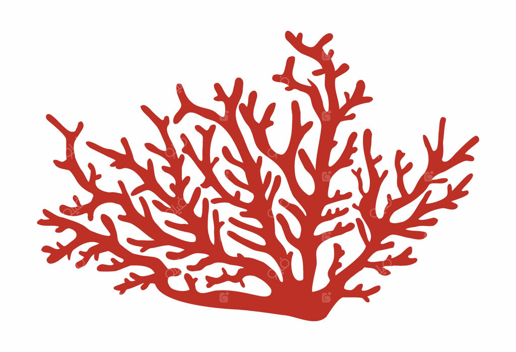 آیکون لوگوی سیلوئت مرجان گورگونیای قرمز استوایی پرگل