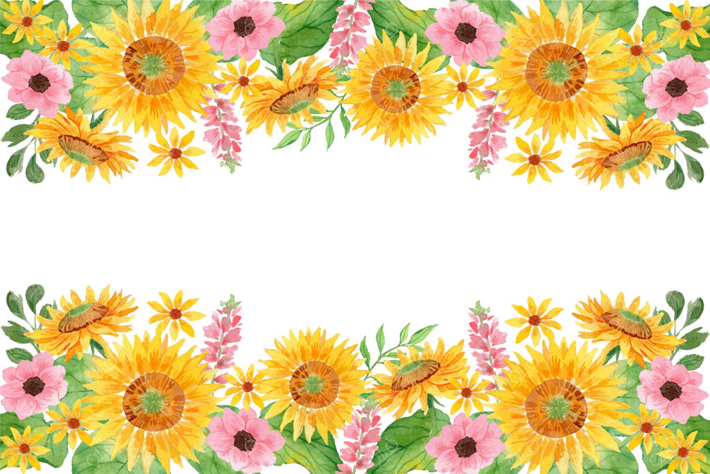 حاشیه گل آفتابگردان با آبرنگ