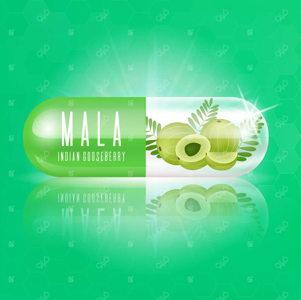 کپسول ویتامین آملا تازه هندی با برش‌ها و برگ‌های مالا سبز