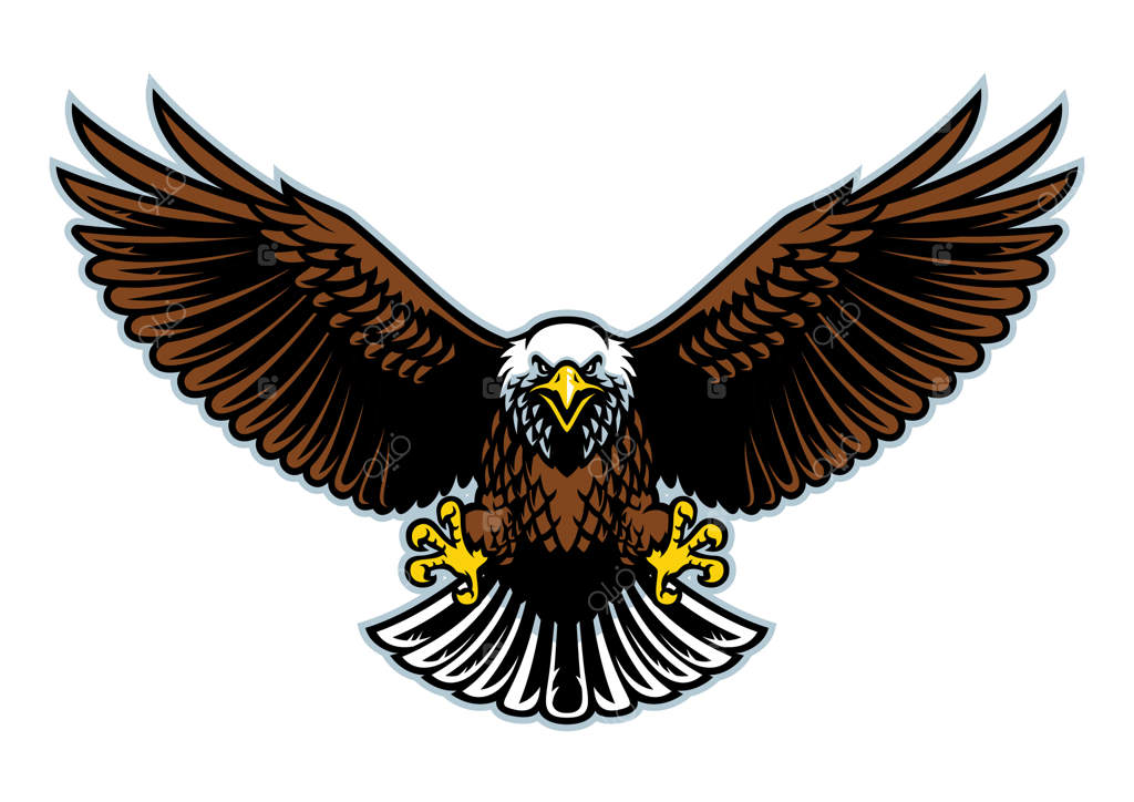 عقاب سرسفید با بال‌های باز در حال پرواز