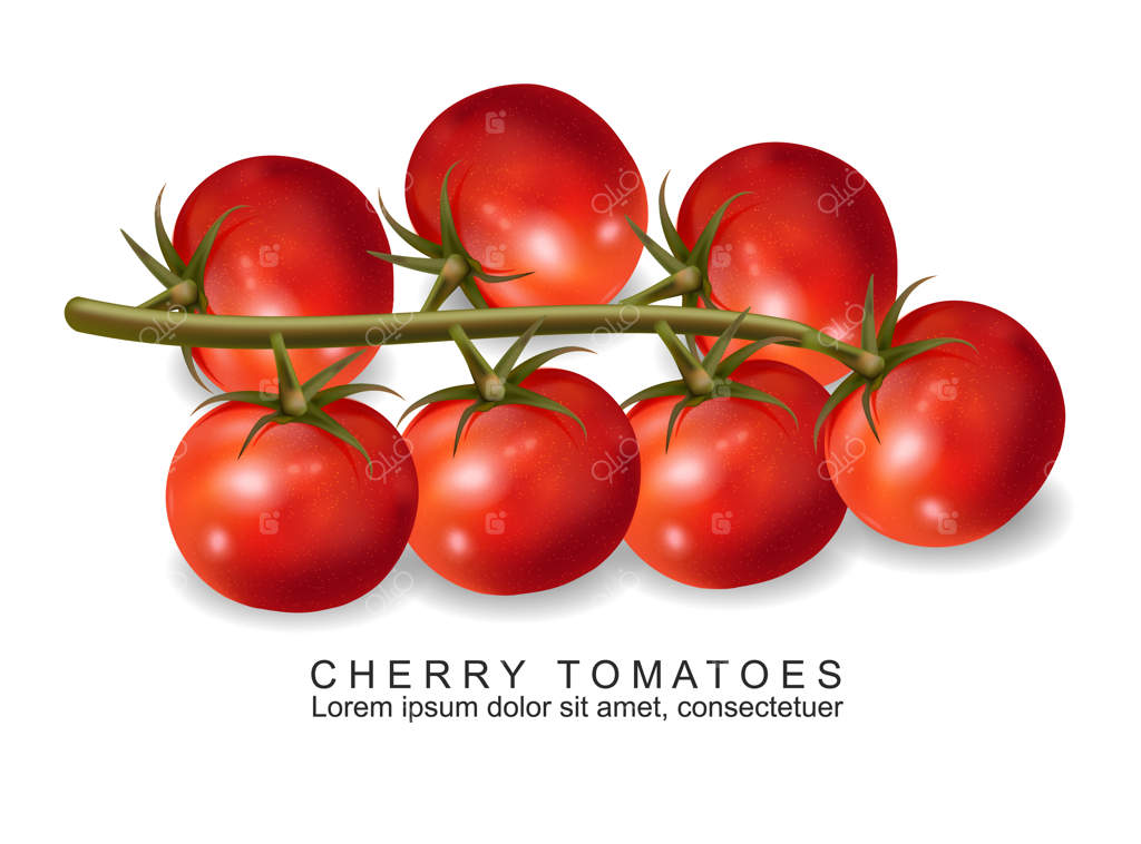 گوجه‌فرنگی گیلاسی