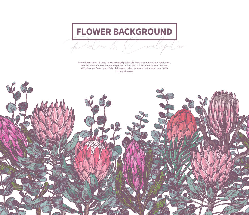 پس‌زمینه با طراحی اسکیس پروتیا، تصویرسازی گیاهی