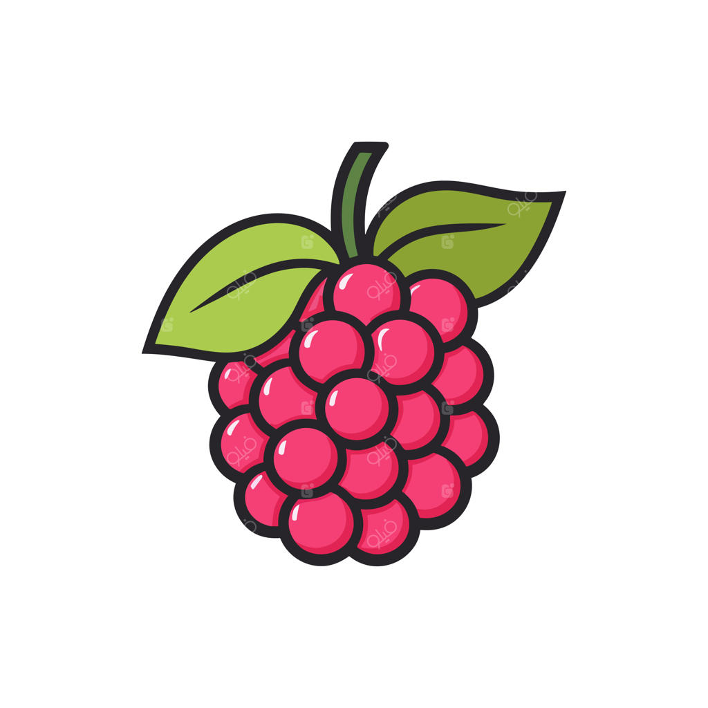 تصویر برداری از یک تمشک تنها با برگ‌های سبز روی زمینه سفید