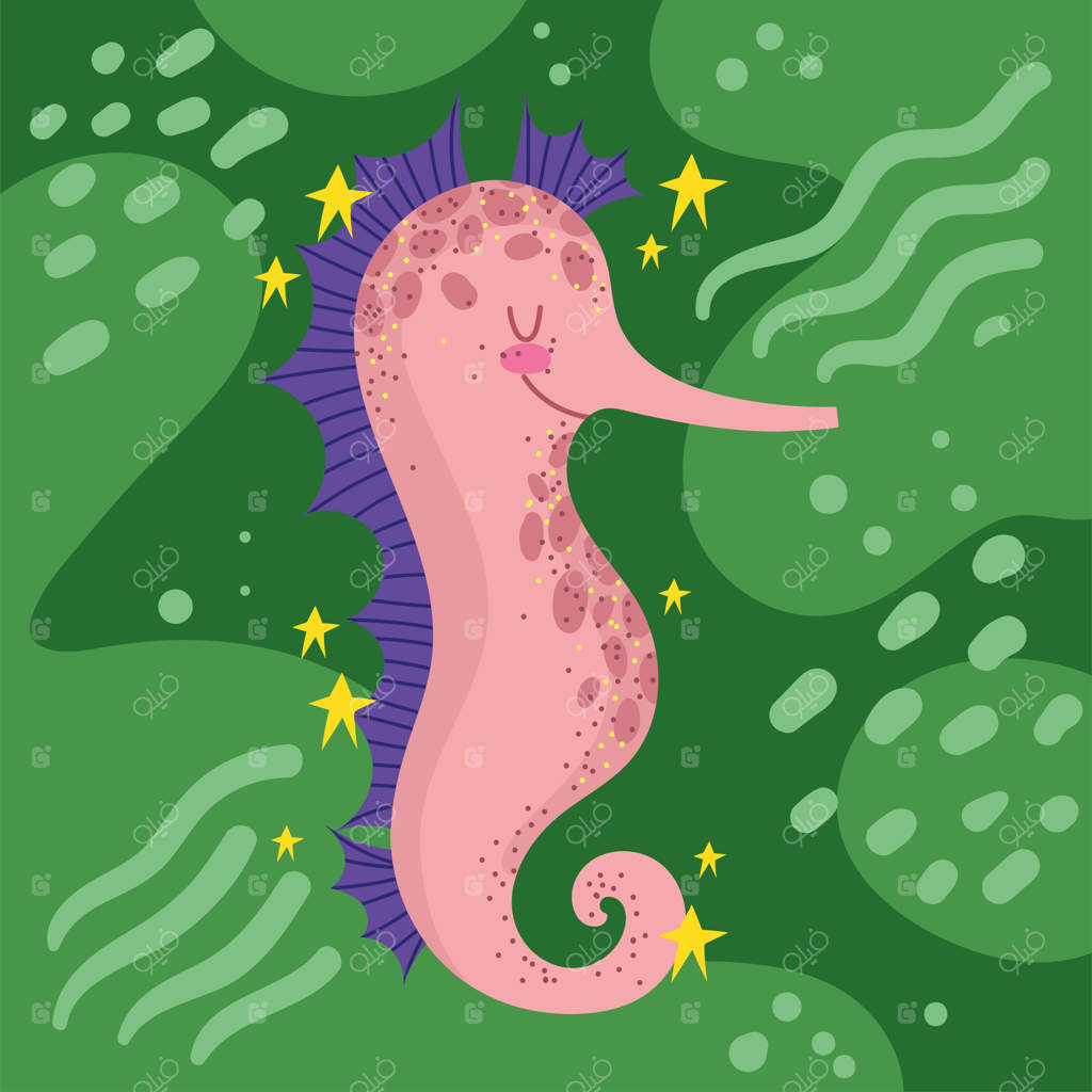 حیات دریایی اسب دریایی