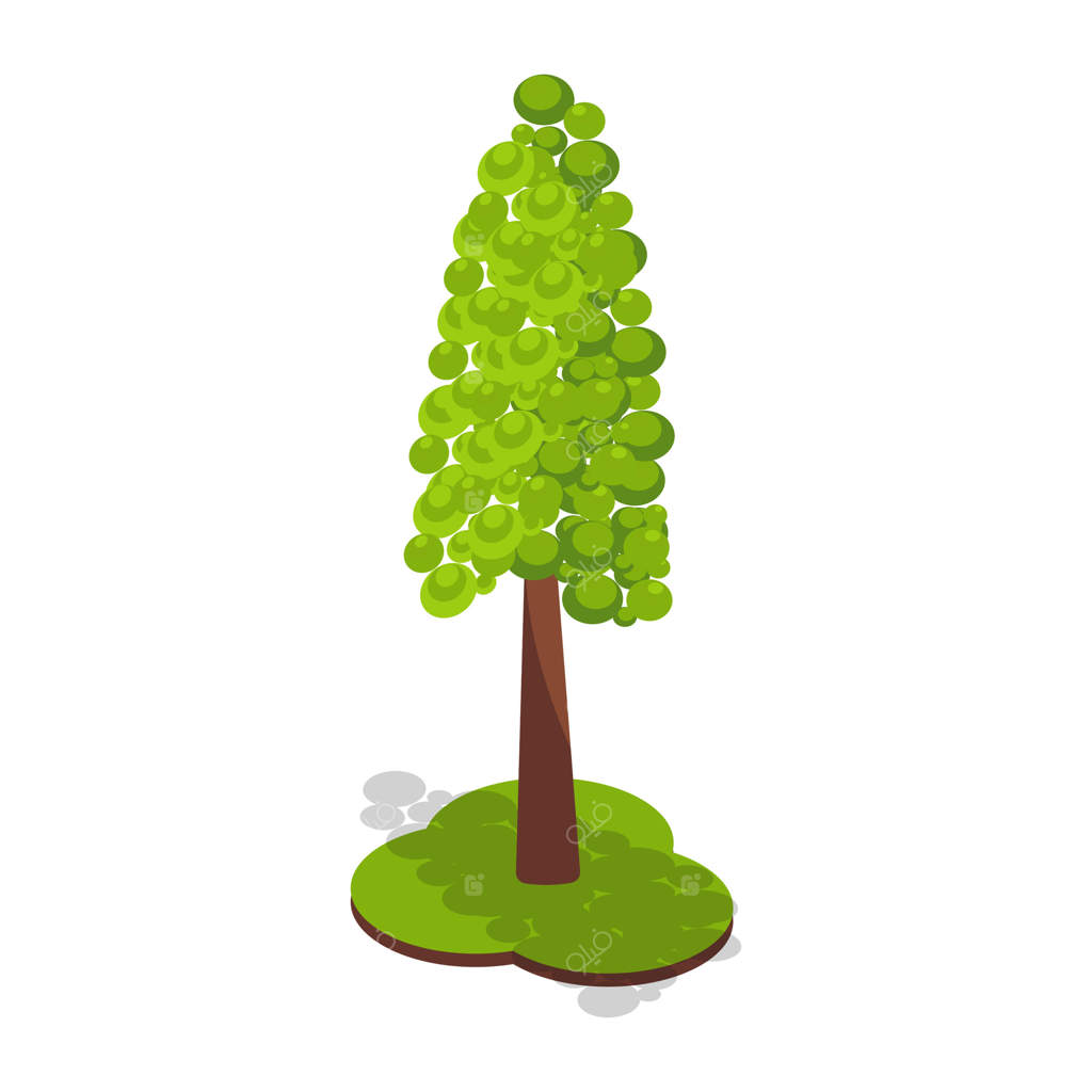 درخت زینتی بلند در باغچه (نمای ایزومتریک)