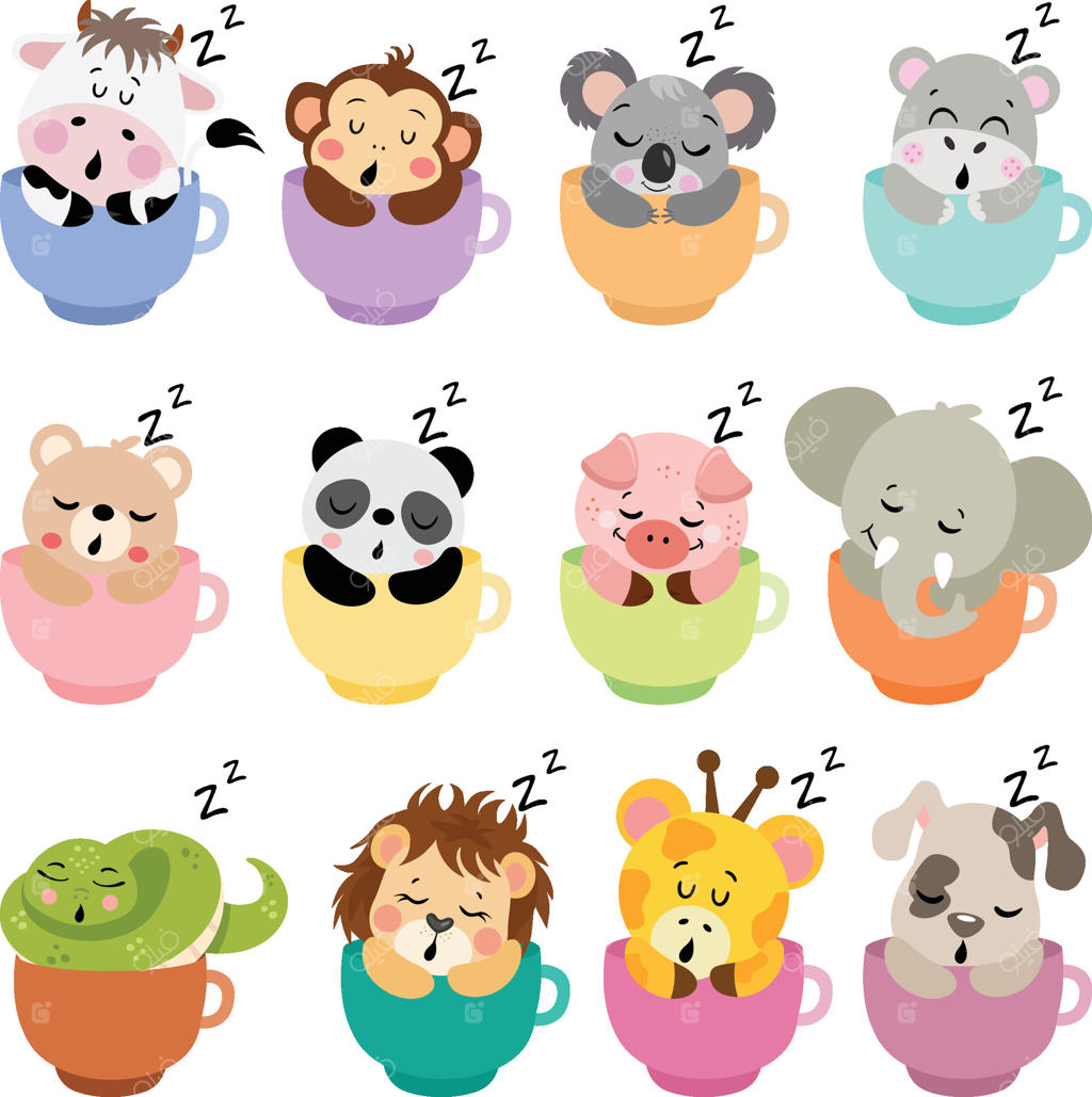 حیوانات بامزه در حال خواب داخل فنجان‌های رنگارنگ قهوه