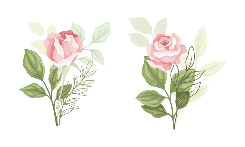 گل رز صورتی روی ساقه با برگ سبز از مجموعه گیاهان باغی